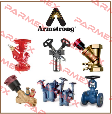 B5648 REPARATURSATZ FUR STEAMIX 203 Armstrong
